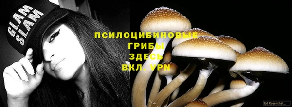 дживик Аркадак