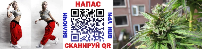 где купить   Артёмовский  Каннабис сатива 